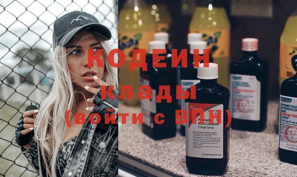 прущие грибы Краснотурьинск