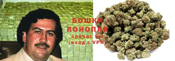 прущие грибы Краснотурьинск