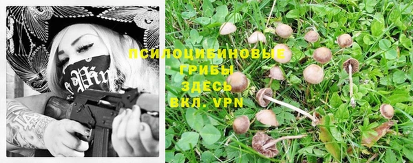 а пвп мука Кукмор