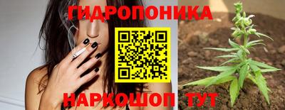 меф Кандалакша
