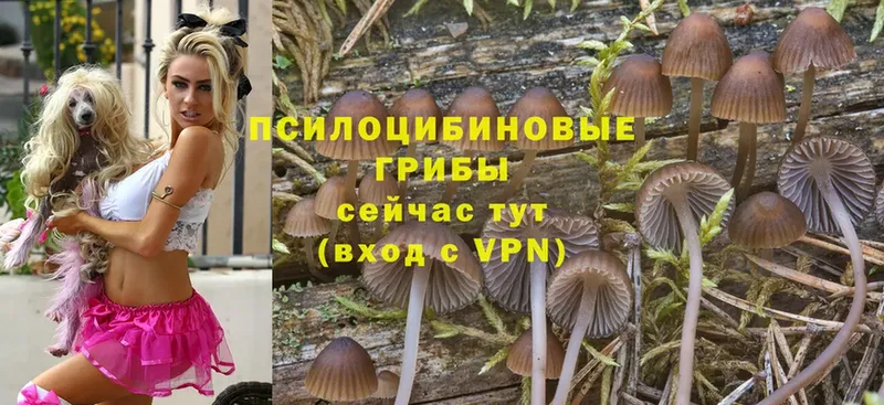 Галлюциногенные грибы MAGIC MUSHROOMS  блэк спрут онион  мориарти официальный сайт  Моздок 