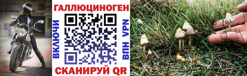 Псилоцибиновые грибы MAGIC MUSHROOMS  Моздок 